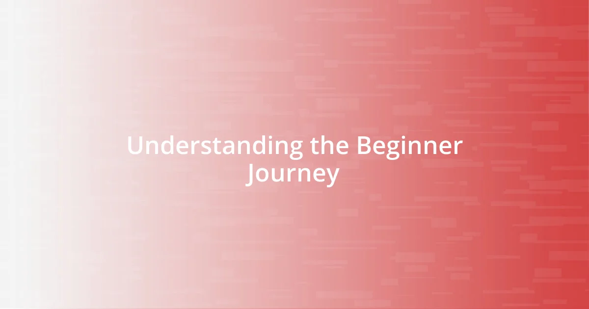 Understanding the Beginner Journey